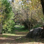 Fall colors at Mother Lode River Center