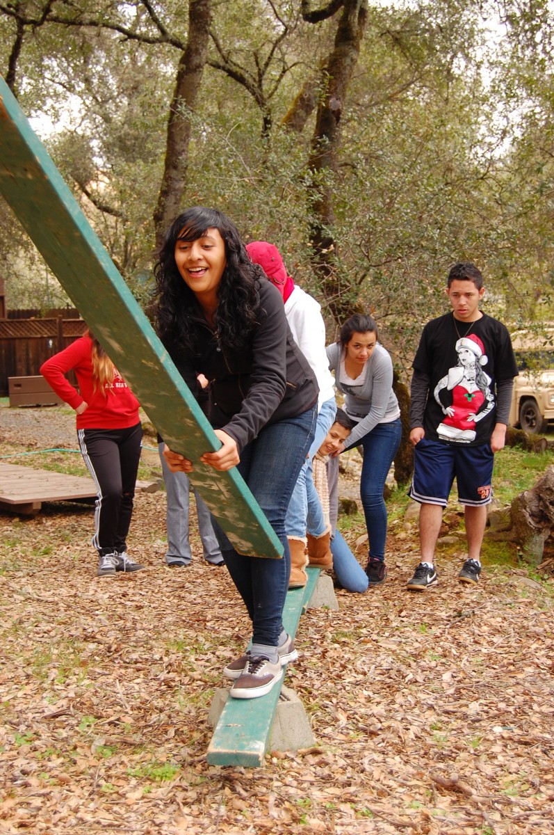 Low Elements - Team Building with Mother Lode River Center