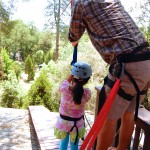 High Ropes: Zip Line Element